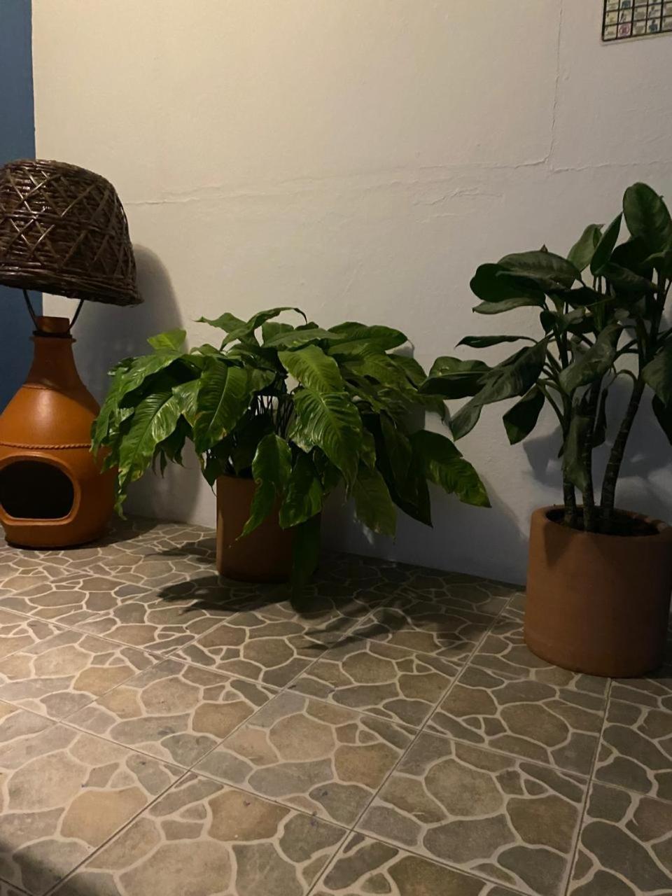 פוארטו אסקונדידו Hotel Casa Juanita מראה חיצוני תמונה